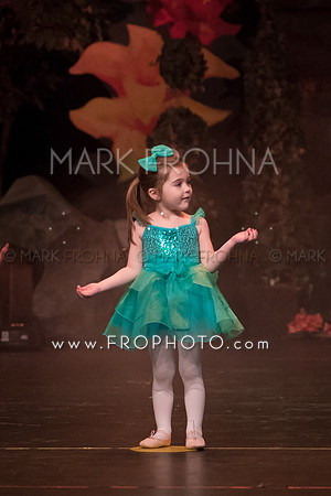 BCA Apr16 Sat300 Elsa-12