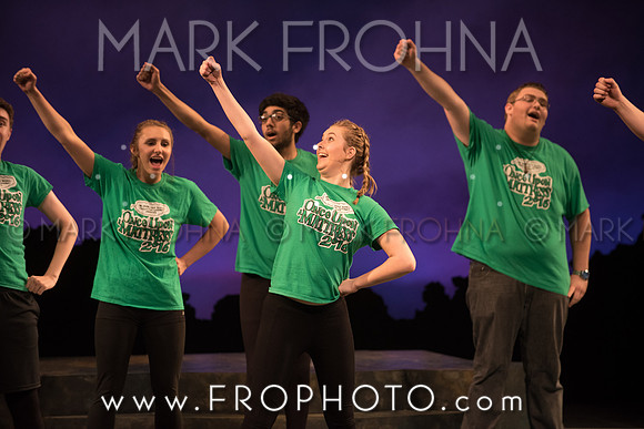 Skylight HSM16 Oak Creek Song of Love-29