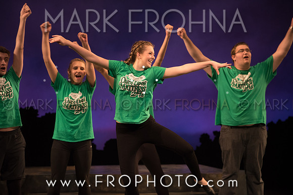 Skylight HSM16 Oak Creek Song of Love-30