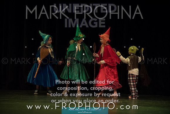 BCA Shrek 2016-29