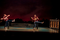 Skylight HSM16 Reagan Elegance-15