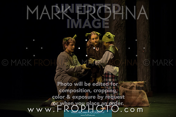 BCA Shrek 2016-15