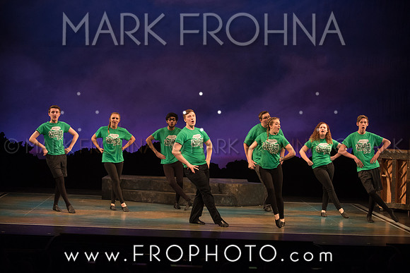 Skylight HSM16 Oak Creek Song of Love-10
