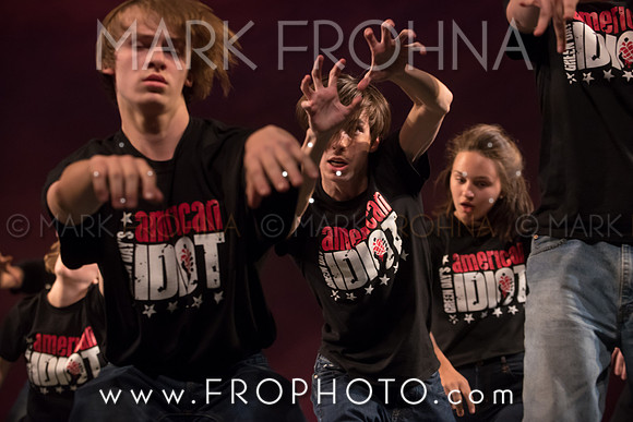 Skylight HSM16 Shorewood American Idiot-7