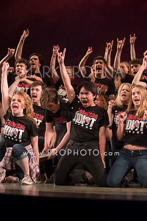 Skylight HSM16 Shorewood American Idiot-27