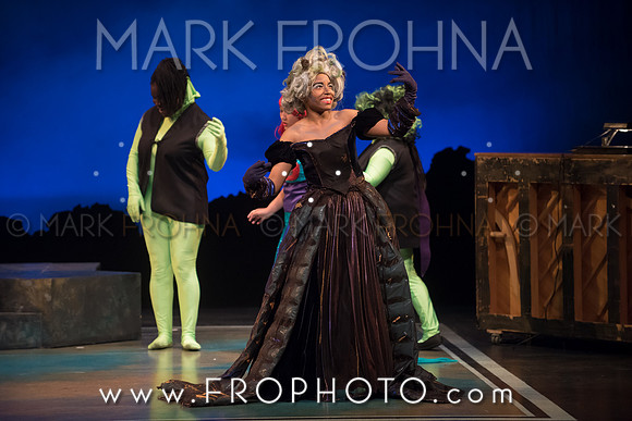 Skylight HSM16 Riverside Mermaid-2