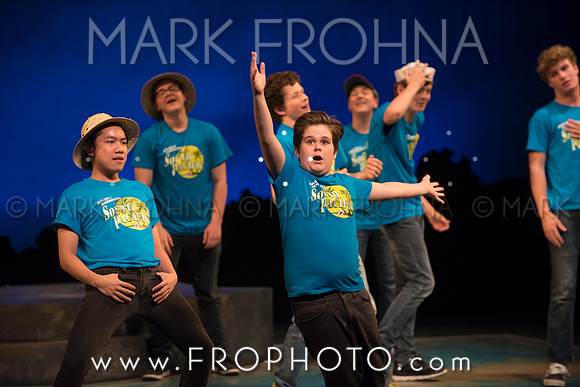 Skylight HSM16 Shorewood South Pacific-50
