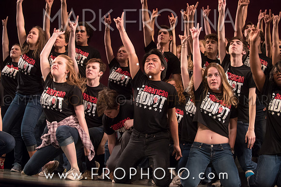 Skylight HSM16 Shorewood American Idiot-25