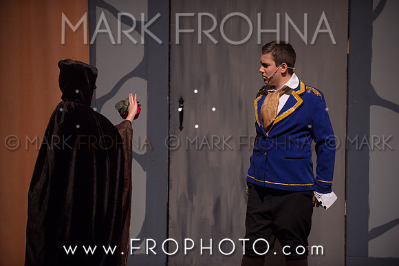 PPMS Beauty and the Beast-3