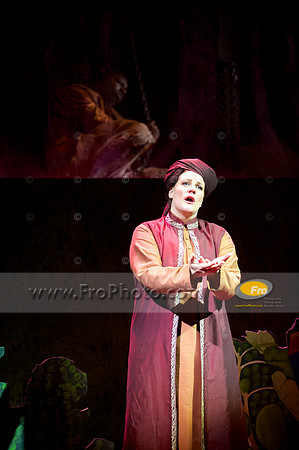 Skylight Fidelio Media 024