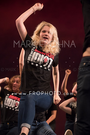 Skylight HSM16 Shorewood American Idiot-5