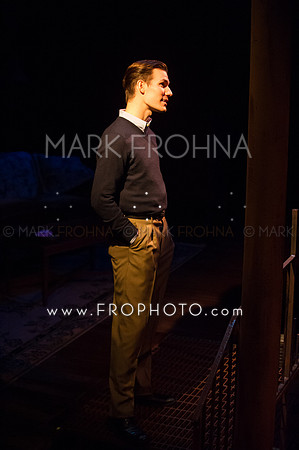 In Tandem Glass Menagerie-77