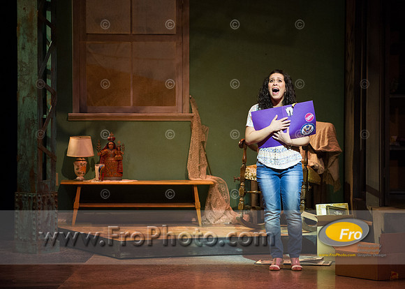 Skylight In the Heights Preview-138