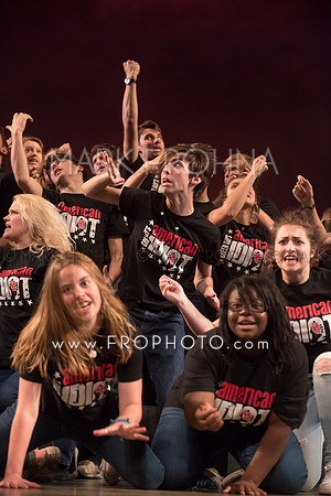 Skylight HSM16 Shorewood American Idiot-30