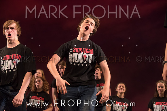 Skylight HSM16 Shorewood American Idiot-17