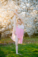 Holly Z Magnolias 2025-11