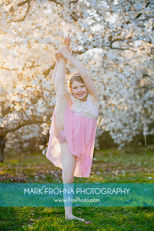 Holly Z Magnolias 2025-11