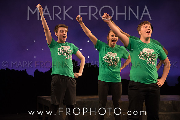 Skylight HSM16 Oak Creek Song of Love-24