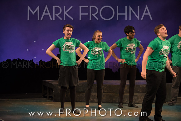 Skylight HSM16 Oak Creek Song of Love-18
