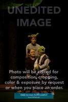 BCA Shrek 2016-7