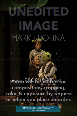 BCA Shrek 2016-7