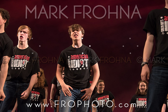 Skylight HSM16 Shorewood American Idiot-15