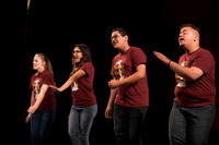 Skylight HSM16 Reagan Elegance-12