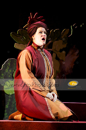 Skylight Fidelio Media 023