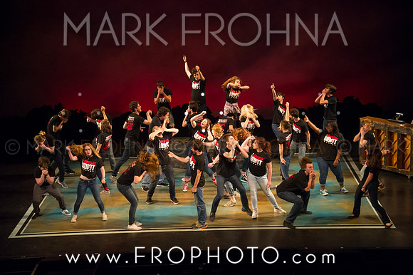 Skylight HSM16 Shorewood American Idiot-53