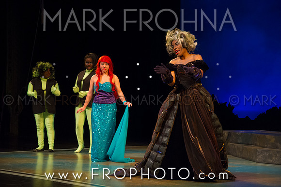 Skylight HSM16 Riverside Mermaid-7