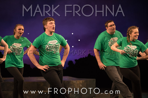 Skylight HSM16 Oak Creek Song of Love-23