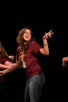Skylight HSM16 Reagan Elegance-9