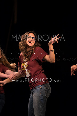 Skylight HSM16 Reagan Elegance-9