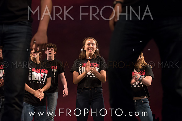 Skylight HSM16 Shorewood American Idiot-19
