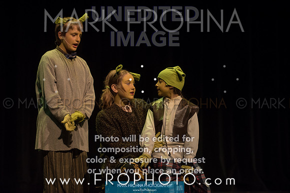 BCA Shrek 2016-13