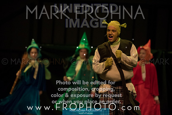 BCA Shrek 2016-42