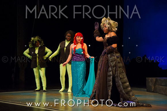Skylight HSM16 Riverside Mermaid-6