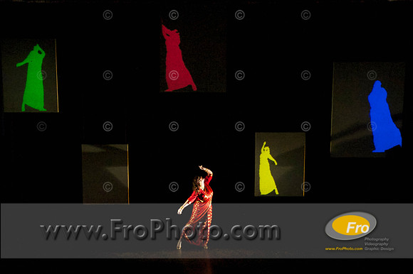 Skylight Fidelio Media 050