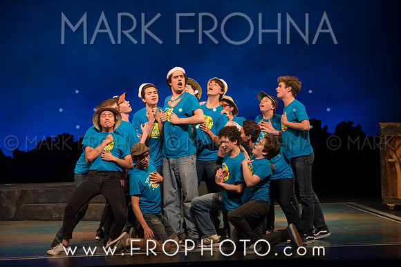 Skylight HSM16 Shorewood South Pacific-37