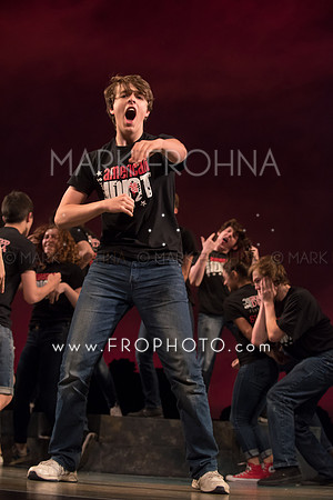 Skylight HSM16 Shorewood American Idiot-10