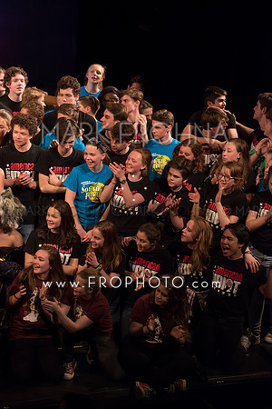 Skylight HSM16 Bows-15