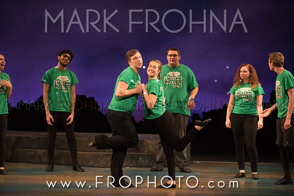 Skylight HSM16 Oak Creek Song of Love-12