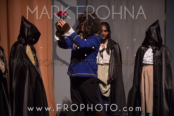 PPMS Beauty and the Beast-9