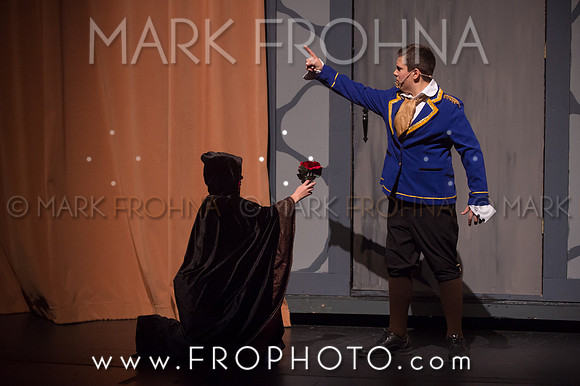 PPMS Beauty and the Beast-6