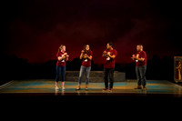Skylight HSM16 Reagan Elegance-13