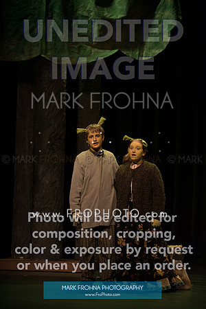 BCA Shrek 2016-23