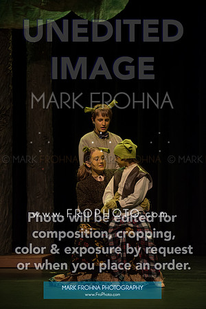 BCA Shrek 2016-7