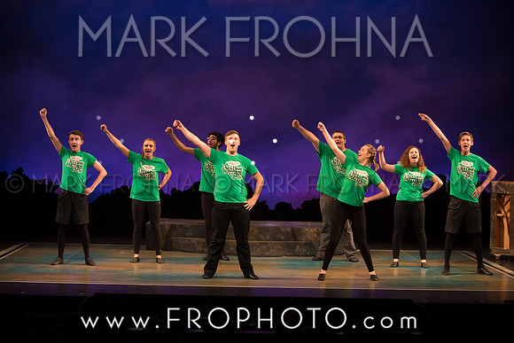 Skylight HSM16 Oak Creek Song of Love-11