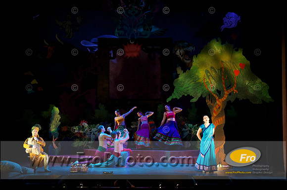 Skylight Fidelio Preview 019
