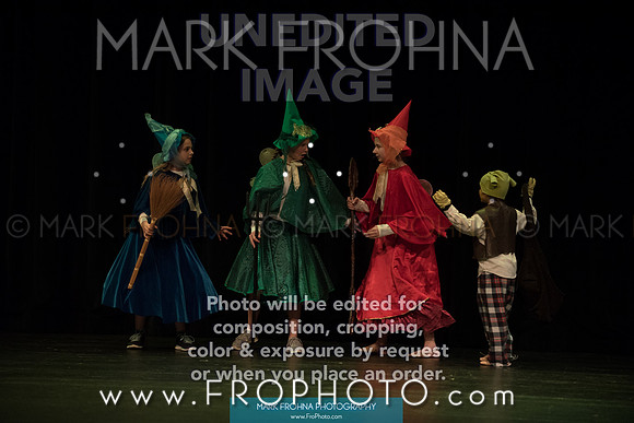 BCA Shrek 2016-29